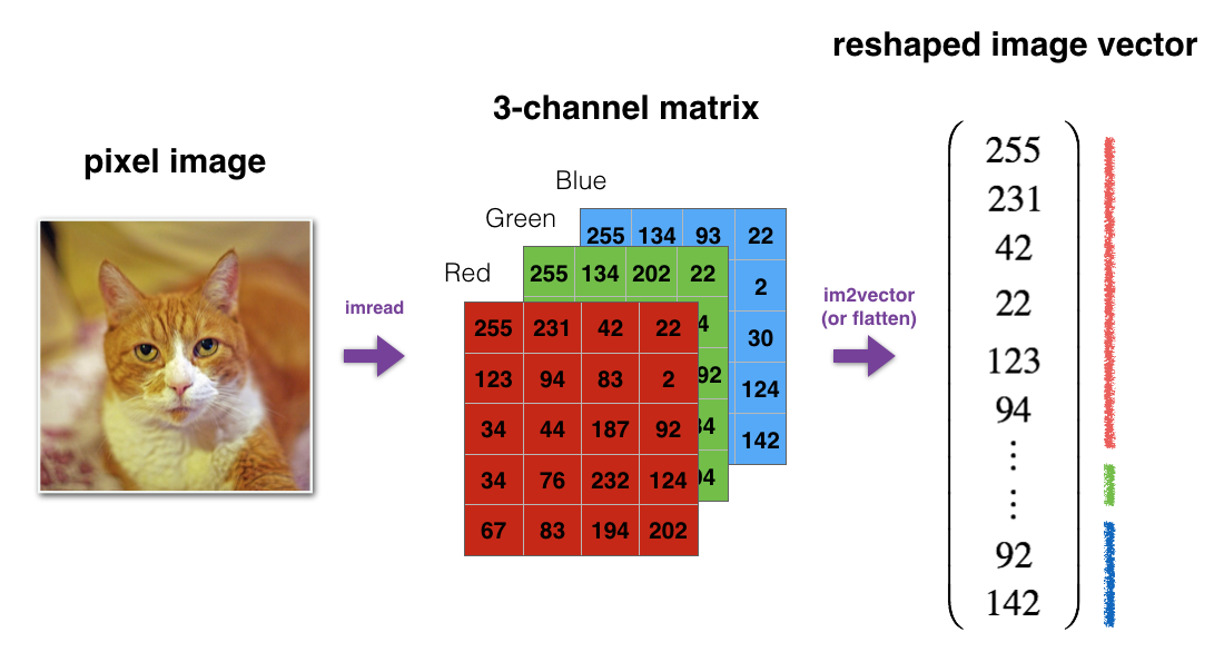 Flattening an image into a single array using reshaping